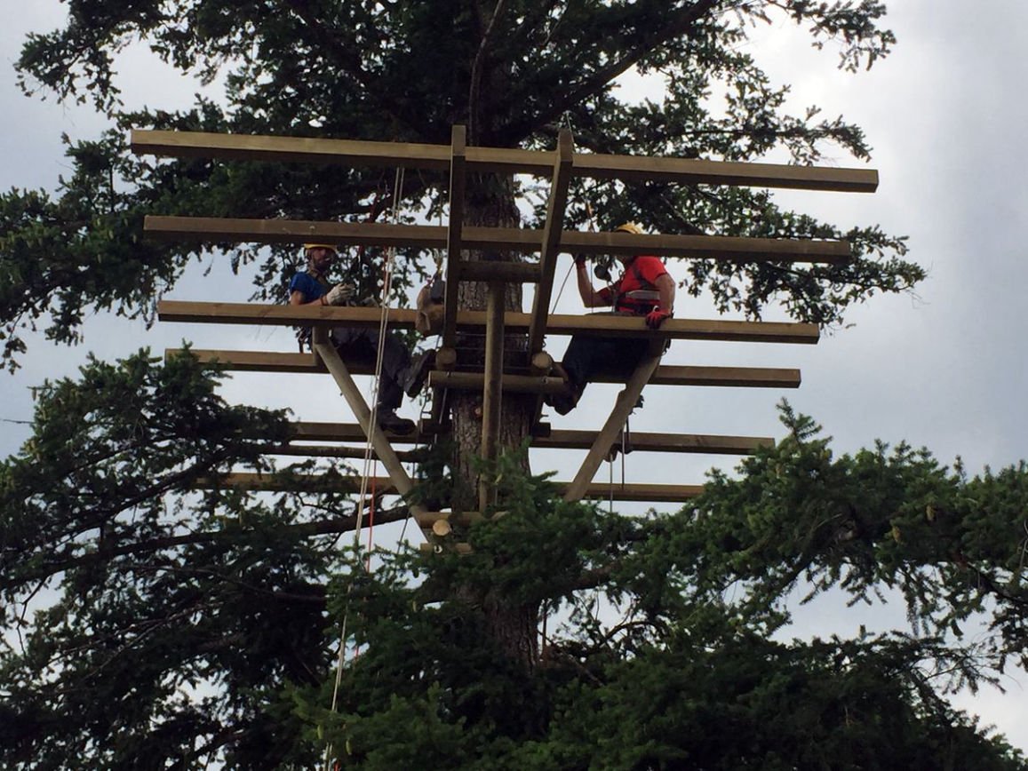 Listones autoclave en parque de aventuras