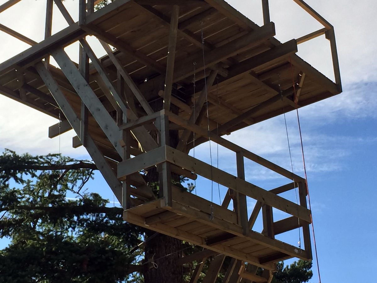 Plataforma para tirolina