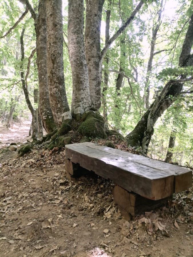 MobirisCarpintería Enríquez - Carpintería de exterior